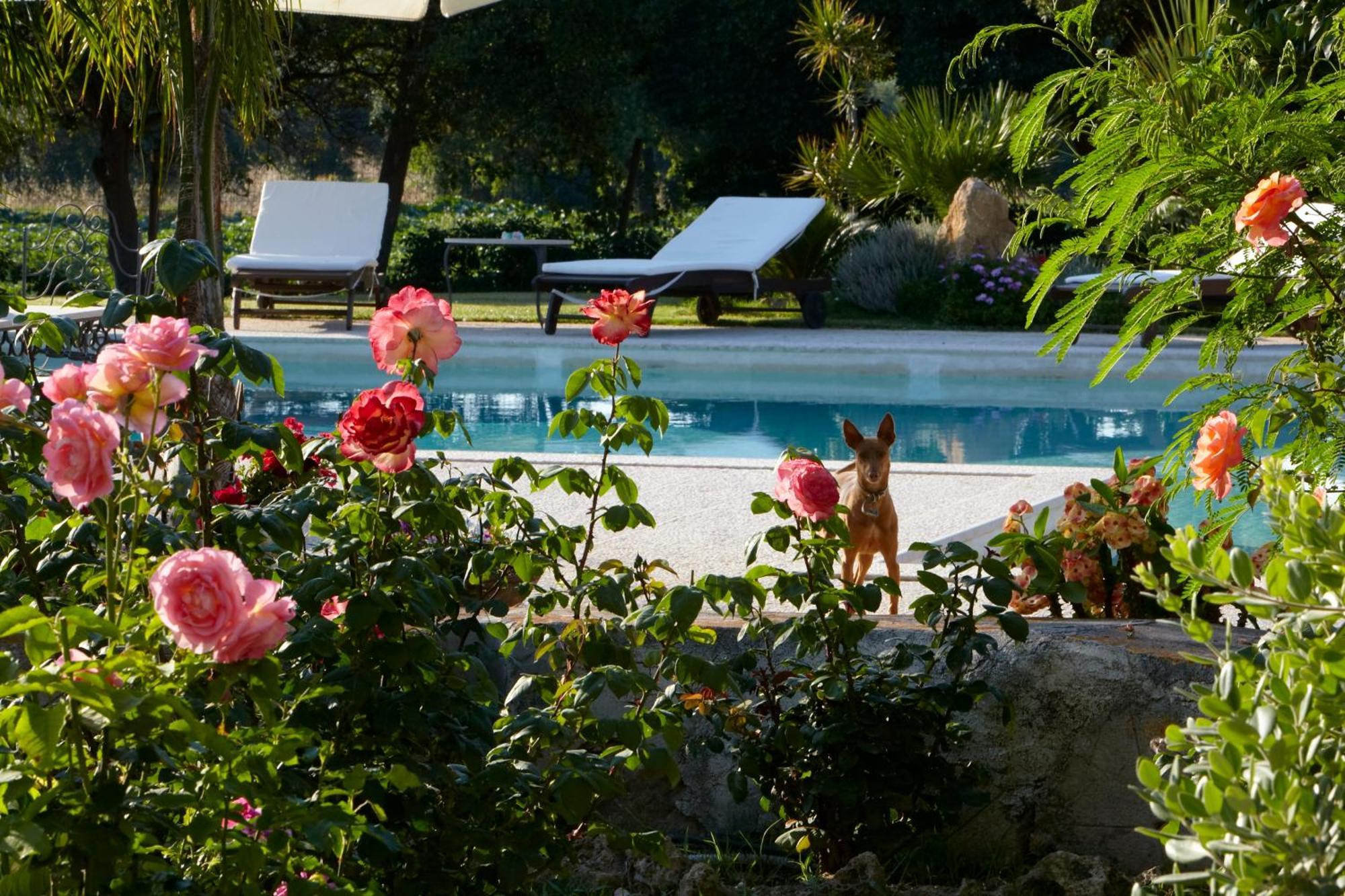 Baglio Sant'Andrea Bed & Breakfast Valderice Luaran gambar